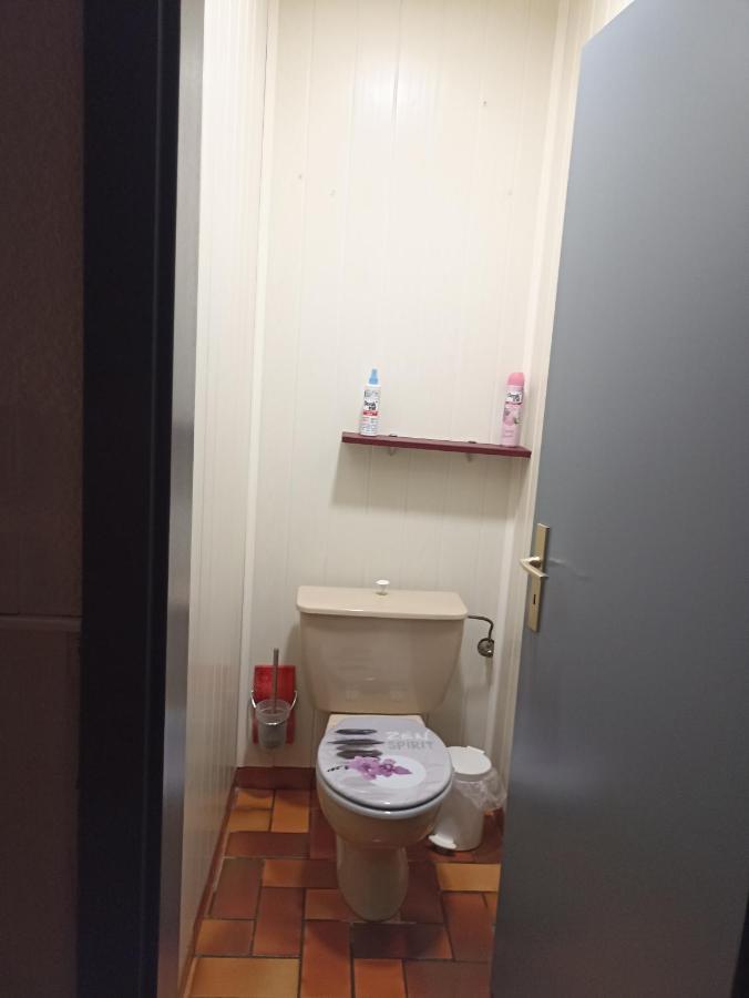 Appartement Avec Balcon Hargarten-aux-Mines 외부 사진
